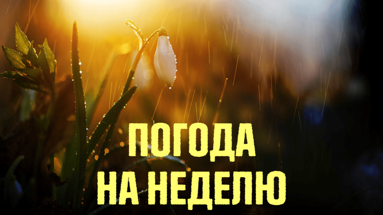 Погода в Украине на неделю