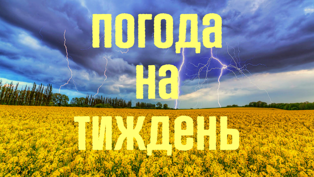 Погода на тиждень