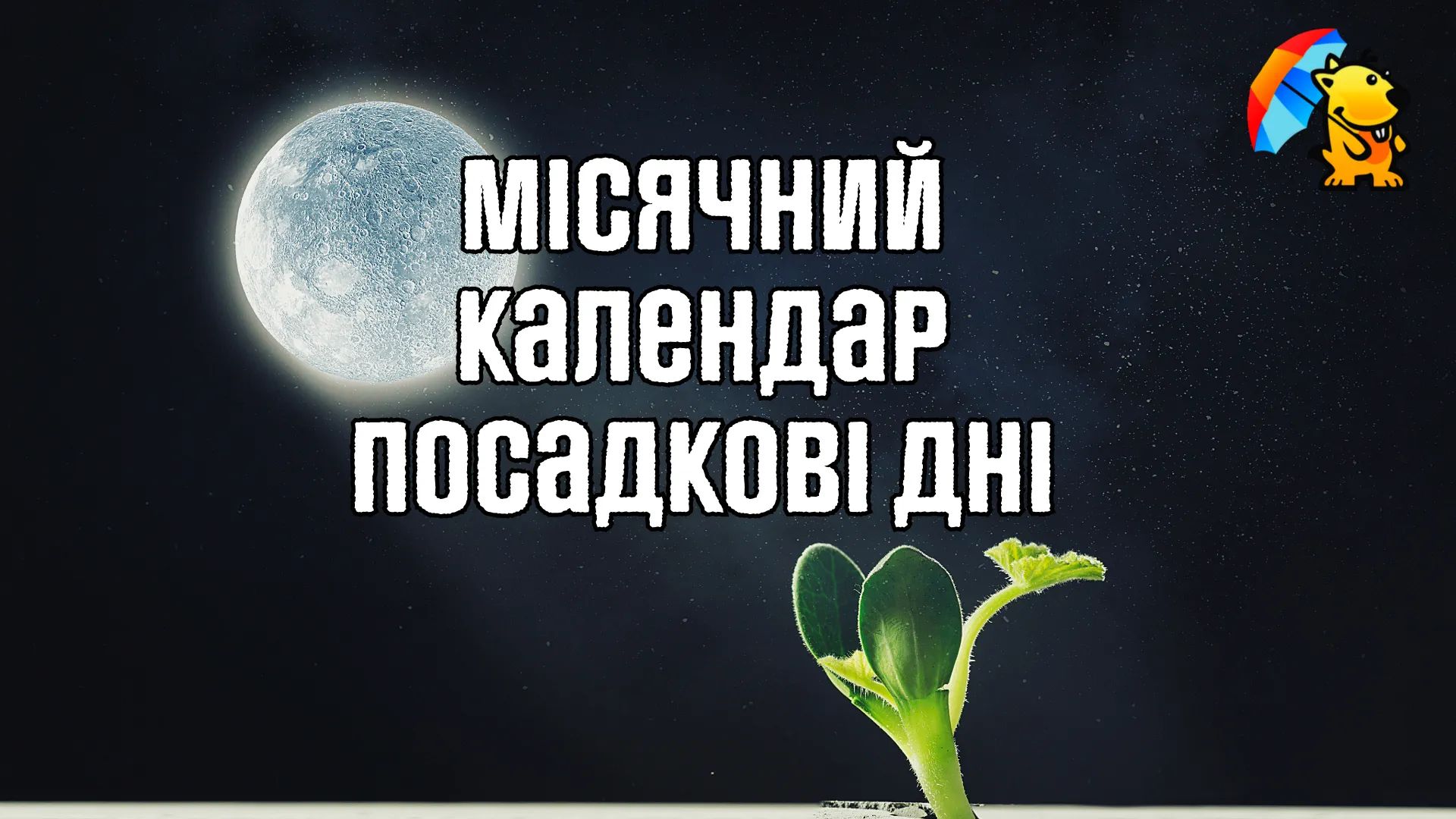 Місячний календар садівника на вересень 2026 року