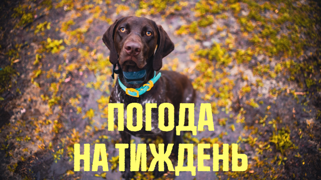 Погода в Україні на тиждень 11-17 квітня 2022 року: варто діставати парасольки Погода в Україні на тиждень