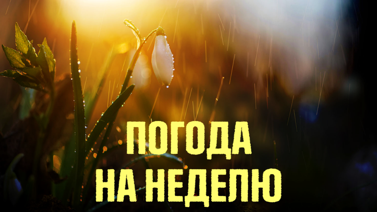 Погода в Украине на неделю 11-17 апреля 2022: стоит доставать зонтики Погода в Украине на неделю