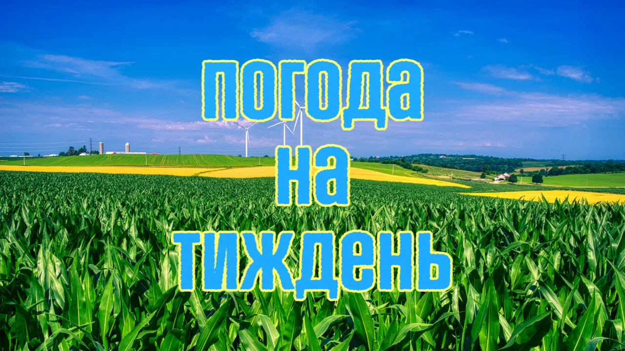 Різка зміна погоди : Україну накриють дощі, грози та шквали вітру Погода на тиждень