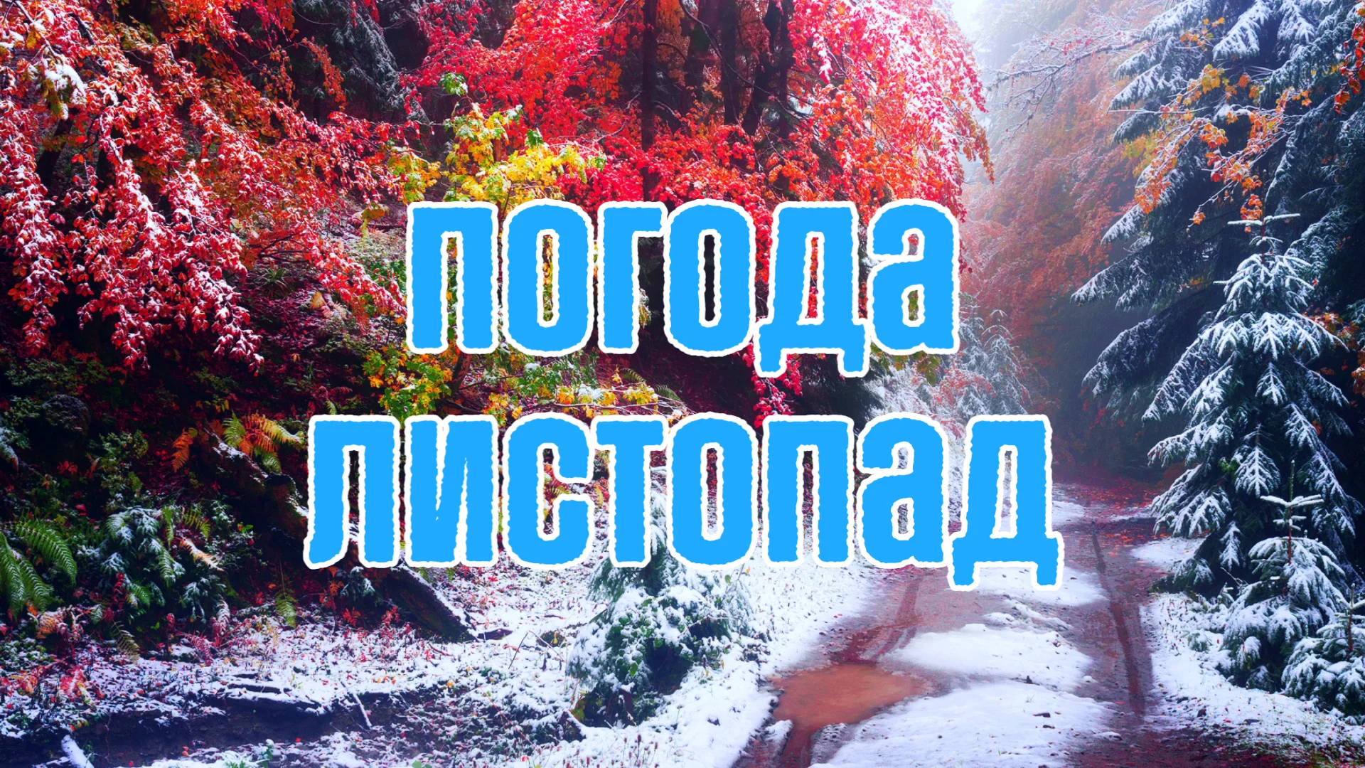 Погода на листопад: синоптики назвали дати, коли в Україні різко похолодає Погода на листопад