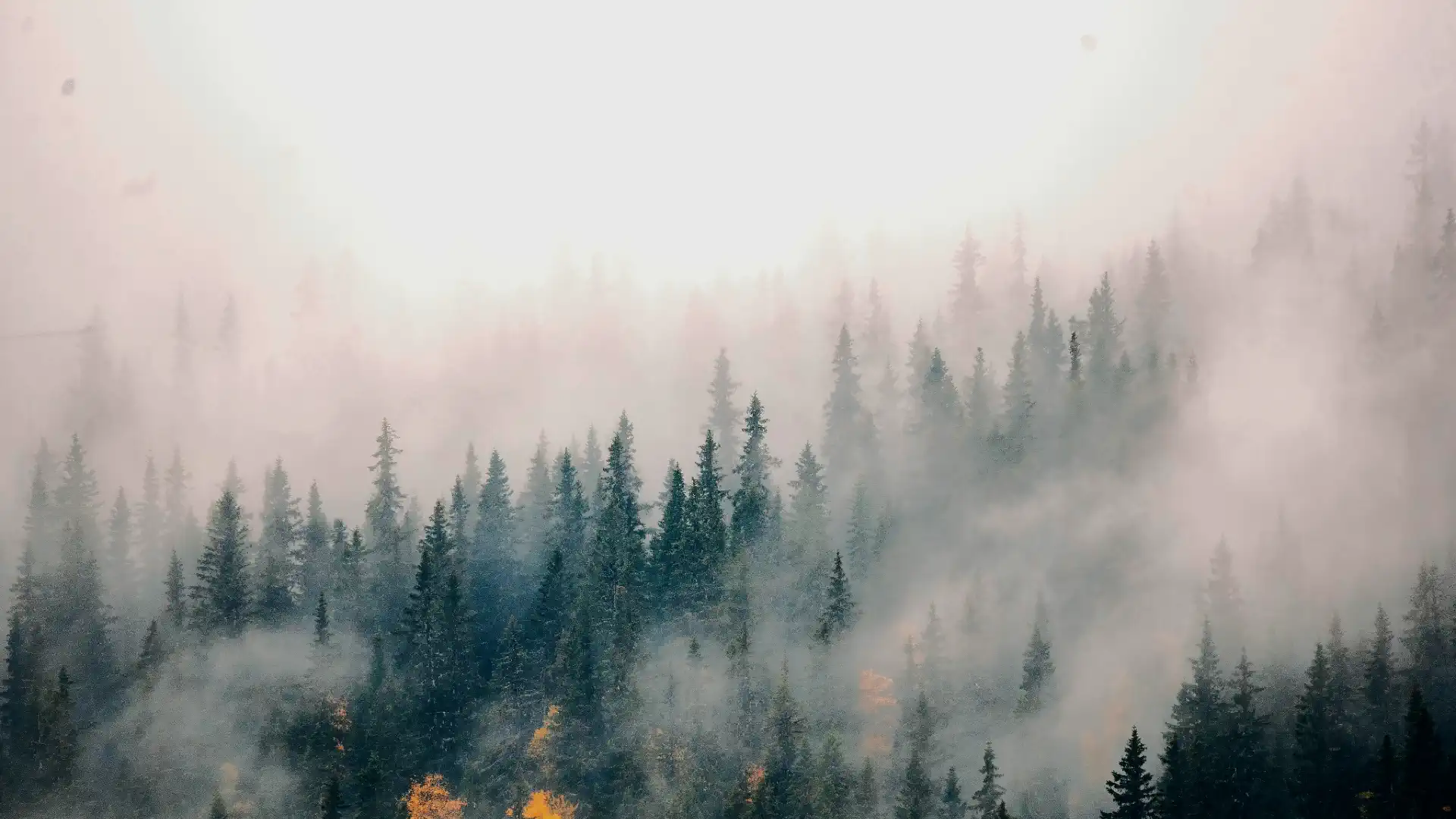 Різке похолодання накриє всю Україну: у Києві температура впаде до +12°C Радиационный туман