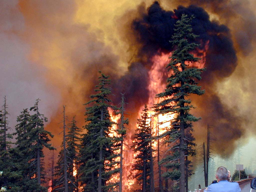 Paris Heatwave and Fontainebleau Wildfire: France Alerts, Air Quality and Cooldown Forecast fire