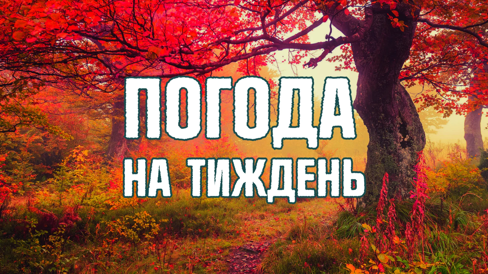 Прогноз погоди на тиждень