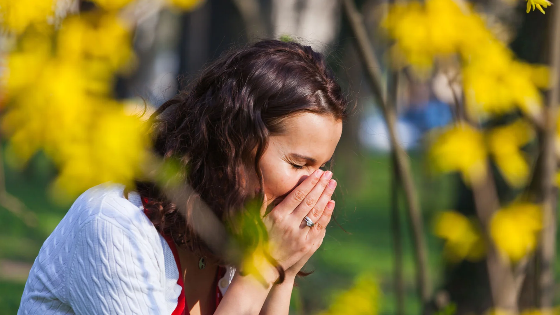 allergy season
