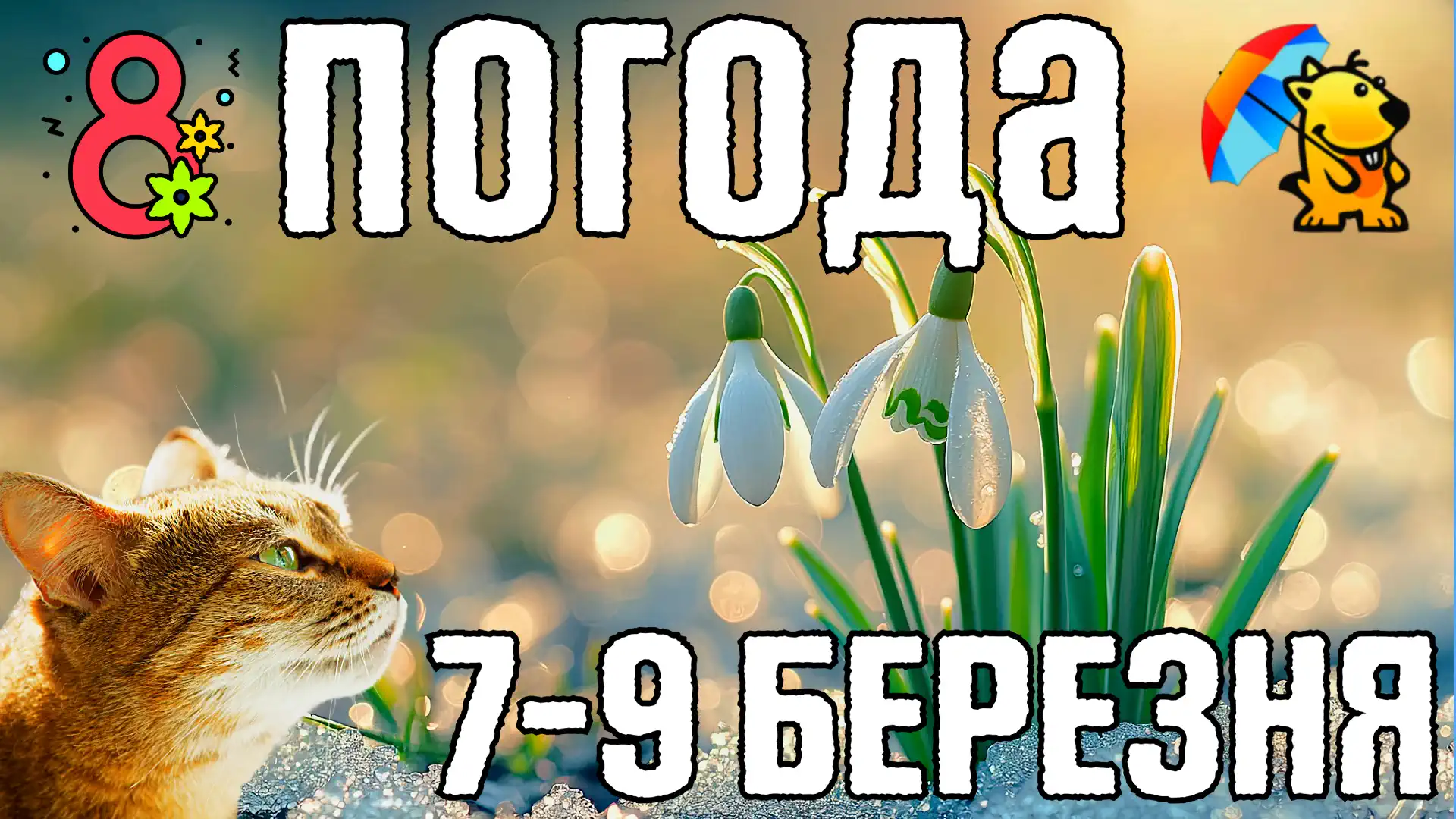 погода завтра