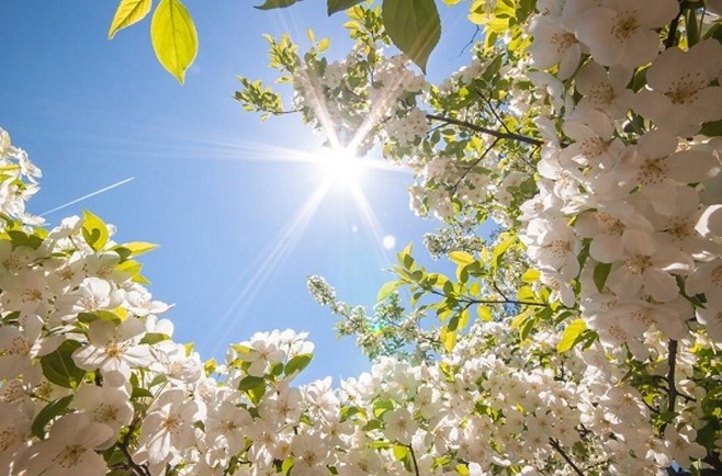 Погода на майские выходные в Украине будет теплой и солнечной