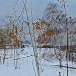 Погода з 30 грудня по 6 січня в Києві і Київській області як і раніше малює класичну картину пізньої осені