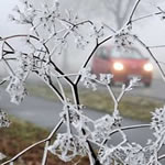 Погода з 6 по 13 грудня в Житомирі та Житомирській області обіцяє жителям справжню зимову казку
