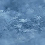 Погода в Дніпропетровську та Дніпропетровській області з 13 по 20 грудня вирішить жителів в цей період снігом не балувати