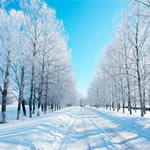 Погода у Вінниці та Вінницької області з 14 по 21 лютого подарує сніжний і морозний настрій