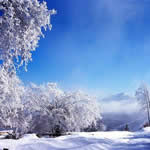 Погода у Львові та Львівській області з 14 по 21 лютого буде носити мінливий зимовий характер