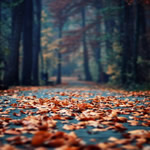 Погода у Вінниці та Вінницькій області з 11 по 18 жовтня принесе на територію теплий і спокійний антициклон