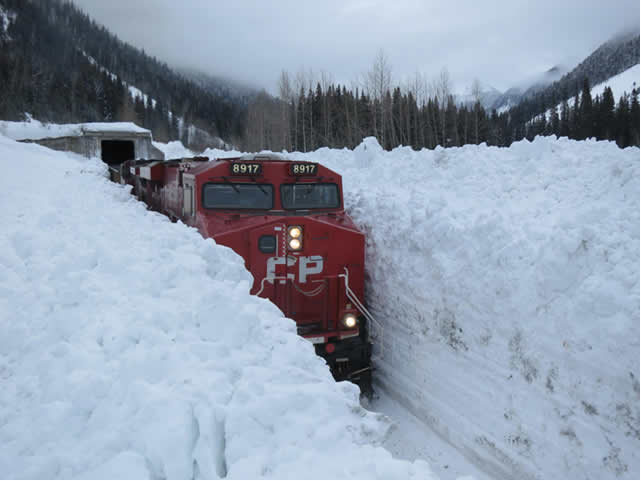 Аномально сильні снігопади накрили провінції Нью-Брансвік в Канаді