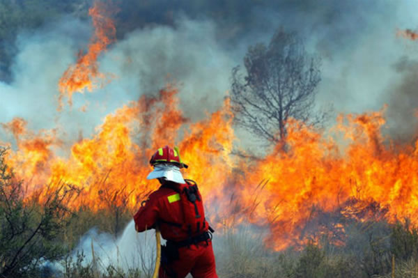 Европа горит! Лесные пожары уже во Франции и Испании