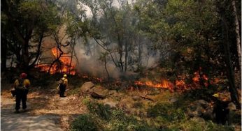 В Америке опять буйствуют масштабные пожары