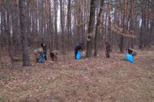 Житомир - в течение дня солнечно и ясно, без осадков