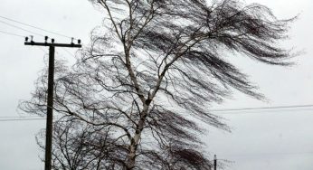 Сильний вітер в Західній Україні завдав шкоди понад 200 населених пунктів