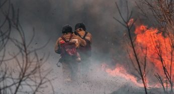 На Харьковщине и Луганщине горит лес: есть пострадавшие