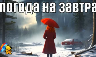 Туманы и осадки. Погода на три дня с 21 по 23 января.