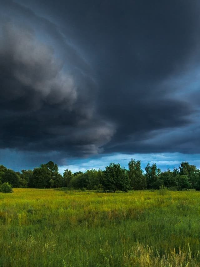 Прогноз погоды на завтра 26 мая: кратковременные дожди по всей Украине