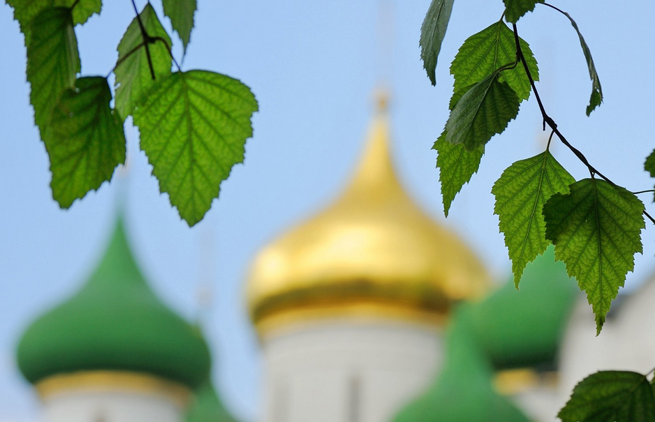 Зеленое православие. Святая Троица береза. Церковный фон. Троица зелень. Троица природа.