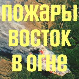 Пожары в Украине: Чрезвычайный уровень пожарной опасности