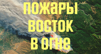 Пожары в Украине 2022: Чрезвычайный уровень пожарной опасности