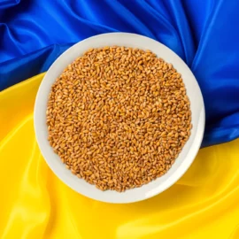 Дефіцит продуктів в Україні 2022 року: що може зникнути з полиць?