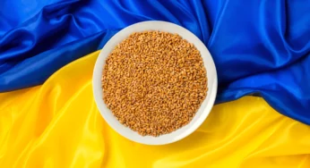 Дефицит продуктов в Украине 2022: что может исчезнуть с полок?