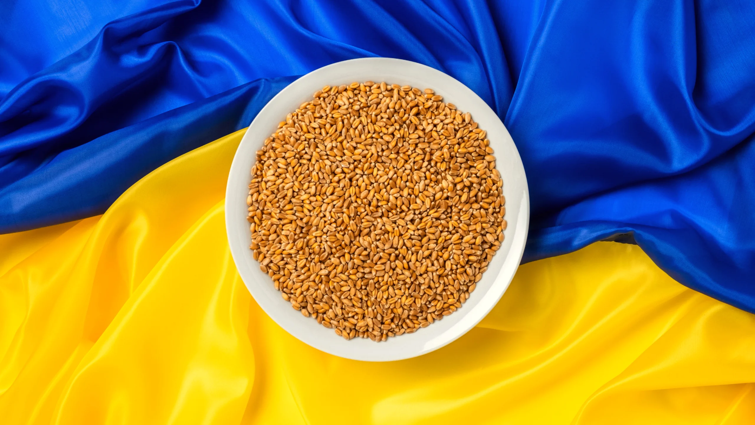 ціни на пшеницю України