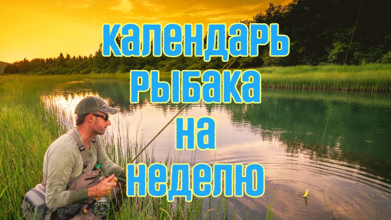 Календарь рыбака на неделю с 18 по 24 июля