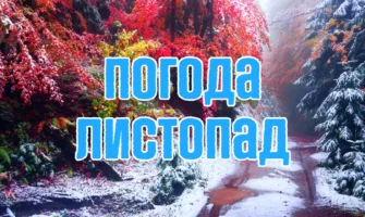 Краткосрочное тепло перед снегом. Прогноз погоды на три дня с 19 по 21 ноября.