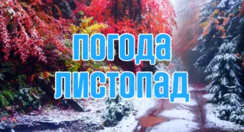 Погода на листопад: синоптики назвали дати, коли в Україні різко похолодає