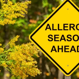 Hayfever Forecast Alert! UK Pollen Forecast Reveals Shocking Pollen Surge Across Europe