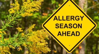 Dive into Ragweed Season: What Allergy Sufferers Need to Know!