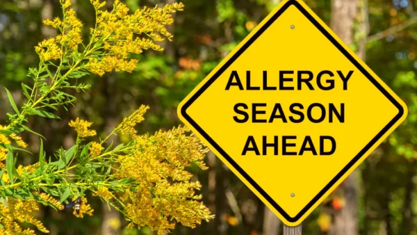 Allergy season ahead Pollinosis hay fever