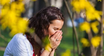 Allergy calendar for May 2024: flowering and pollen calendar
