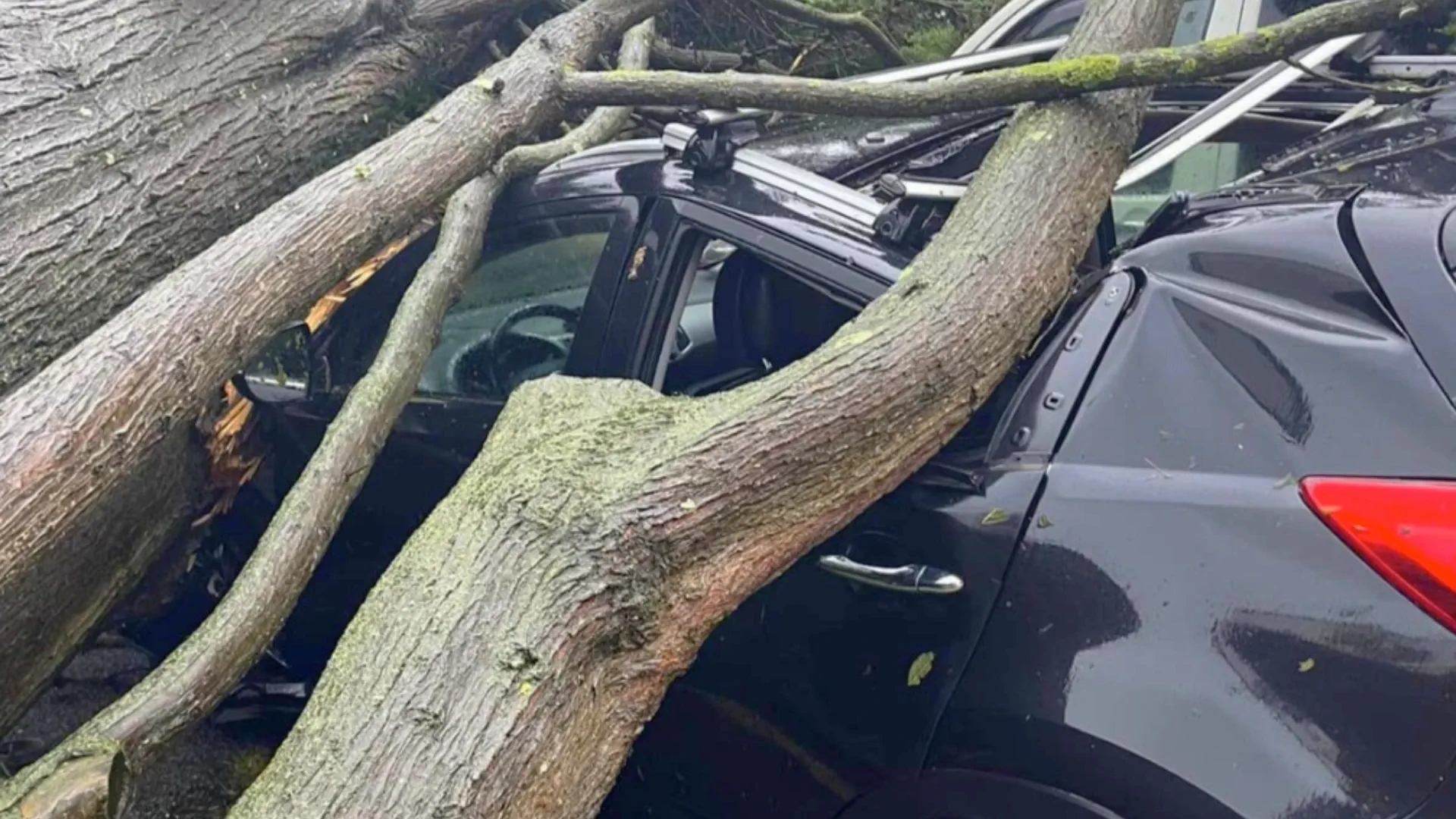 Storm Domingos caused chaos in France