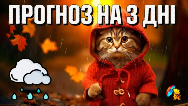дожди в Украине