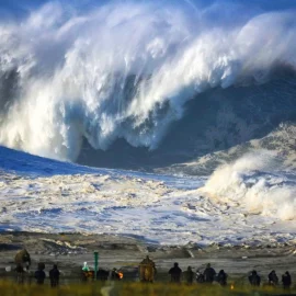 Tropical Cyclones Trami and Kong-ray: will hit Japan and Vietnam