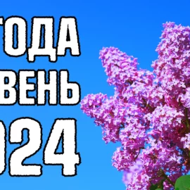 Погода травень 2024 прогноз для України та Києва.