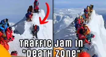 Everest Chaos: Hundreds of Climbers Stranded in High-Altitude Traffic Jam.
