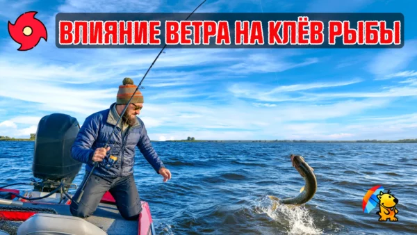 Влияние ветра на клёв рыбы