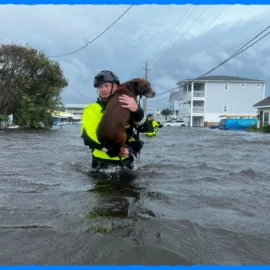 Unprecedented Rainfall Triggers Coastal Chaos in Carolinas: State of Emergency Declared