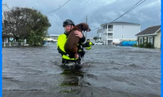 Unprecedented Rainfall Triggers Coastal Chaos in Carolinas: State of Emergency Declared