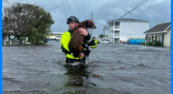 Unprecedented Rainfall Triggers Coastal Chaos in Carolinas: State of Emergency Declared