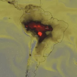 Forest Fires in Brazil and Bolivia